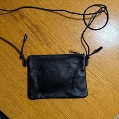 SIN SIN ズボラサコッシュの画像