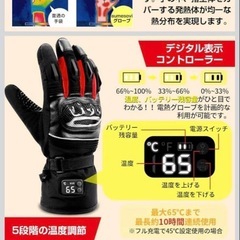 電熱グローブMサイズの画像