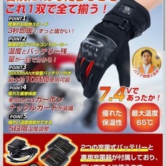電熱グローブMサイズの画像