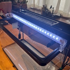 角丸水槽の画像