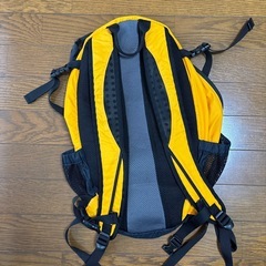 LLBeanリュックの画像