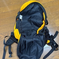 LLBeanリュックの画像