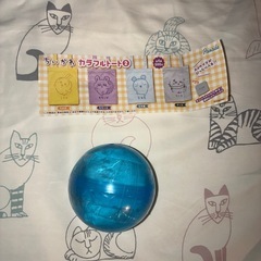 ãµã ãã€ã«