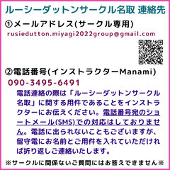 ルーシーダットン 11月2日(日) 【宮城県名取市】の画像