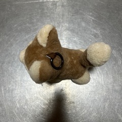 イヌ　ぬいぐるみの画像