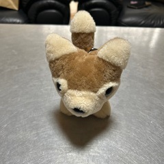 イヌ　ぬいぐるみの画像