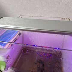 30センチ水槽用の照明の画像