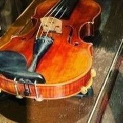 出張バイオリン🎻レッスン 日常フランス語会話  出張演奏 映画撮影などの演奏指導、演奏の画像