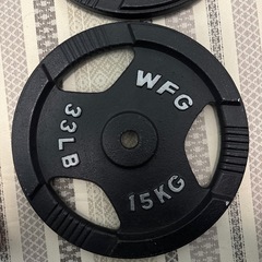 ワイルドフィット　15kg プレート　2枚　30kg  WFGの画像