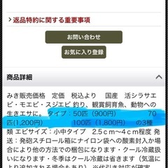 ⬆️増量しました⬆️🦐熱帯魚の餌にも釣り餌にも最適🦐大量スジエビ２cm±〜４cm±約１００匹→１５０匹で1,000円にします❗️🦐の画像