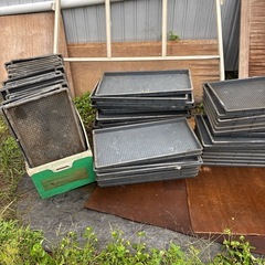 育苗トレー　穴あきトレーの画像