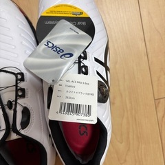 靴26cm(ゴルフ用))の画像