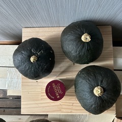 かぼちゃ　ブラックのジョーに2の画像