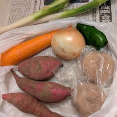 野菜　いろいろの画像