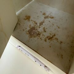 ✨️ジモティー割引✨️【ジャングルジャングル堺初芝店】　不二貿易　ドレッサー　ホワイト　幅(W)602mm × 奥行(D)390mm × 高さ(H)1303mm　堺市（東区　西区　北区　南区　堺区　美原区）高石市　泉大津市　忠岡町　和泉市　松原市　大阪狭山市の画像