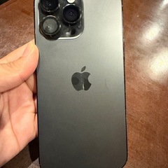 14prox max256256の画像