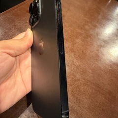 14prox max256256の画像