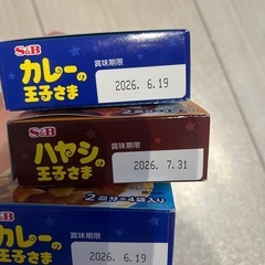 カレーの王様　幼児食　1歳〜の画像