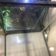 90cm水槽&水槽台の画像
