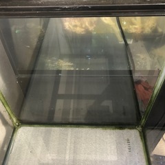 90cm水槽&水槽台の画像