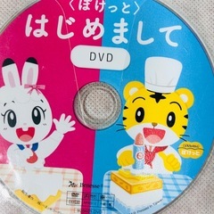 こどもチャレンジたいけんDVDの画像
