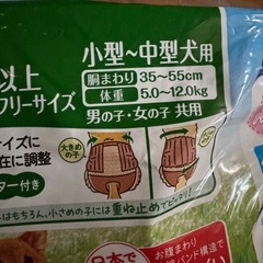 キミおもい アクティブウェア パンツタイプ M以上フリーサイズ 2525枚の画像