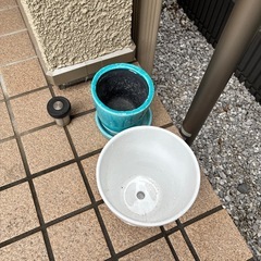 鉢2つの画像