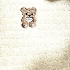 ロトトクッションの画像