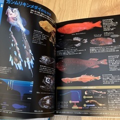 小学館の図鑑　NEO　の画像