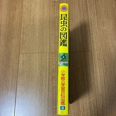 昆虫図鑑の画像