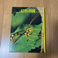 昆虫図鑑の画像
