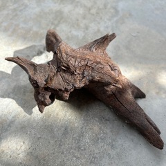 アクアリウム用　流木と石の画像
