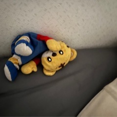 一緒に探してくれませんか。