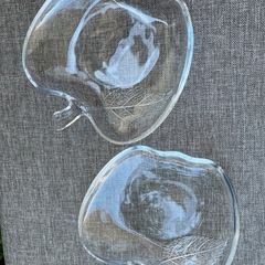 ガラスの器
の画像