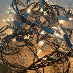 小さいクリスマスツリーと電飾の画像