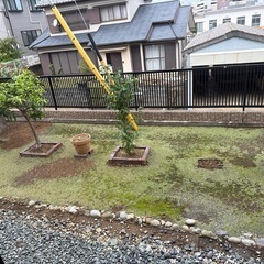 【無料】本日から10/30まで（磐田市二之宮）の画像
