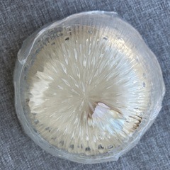 ガラスの器の画像