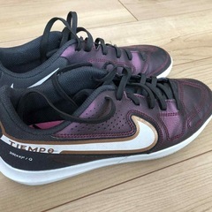 〔状態良好〕Nikeフットサルシューズ24cmの画像