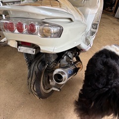 マジェスティ250の画像