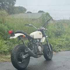 実働！ ホンダ エイプ 50 AC16 書類付き 現状 原付 通勤 通学 AC18の画像