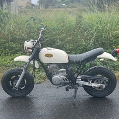 実働！ ホンダ エイプ 50 AC16 書類付き 現状 原付 通勤 通学 AC18の画像