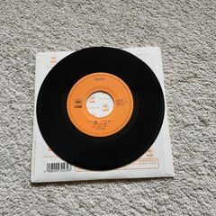 奥田民生シングルレコードの画像