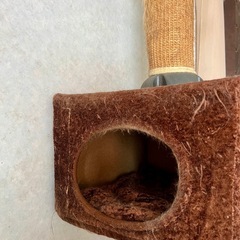 キャットタワーの画像