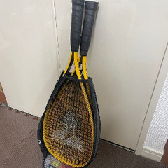 タルボットアウトドアバドミントン　シャトル、ケース付きの画像