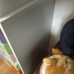 たな棚の画像