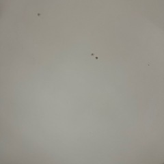 食器棚2の画像