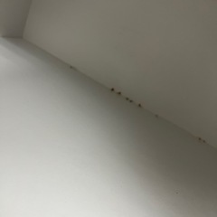 食器棚2の画像