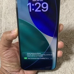 16 Pro Max Z/PAの画像