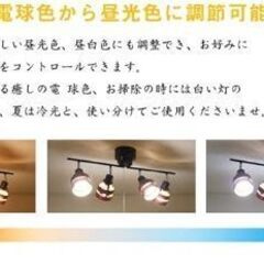 【あまり使用していない中古】電球＆リモコンの画像
