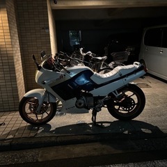 gpx250 早期取引希望の為格安にて取引しますの画像
